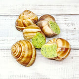 Romanzini Frozen Prepared Escargots with butter, garlic and parsley available at Meat United