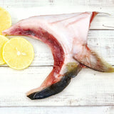 Hamachi Collar Yellowtail Fish available at Meat United. Delivery available island wide