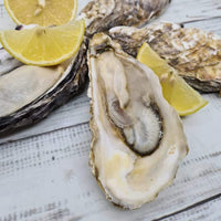 Big juicy oysters from Japan Hyogo available for delivery 